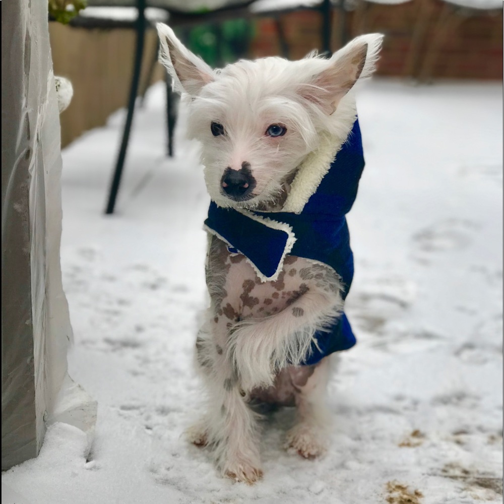 Meet your Posher, Jordan